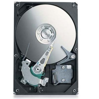 Seagate 250GB HD - 5400RPM